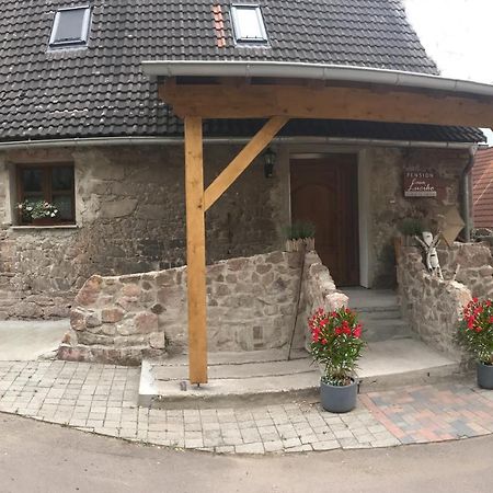 Pension Casa Luciko Brachwitz Экстерьер фото